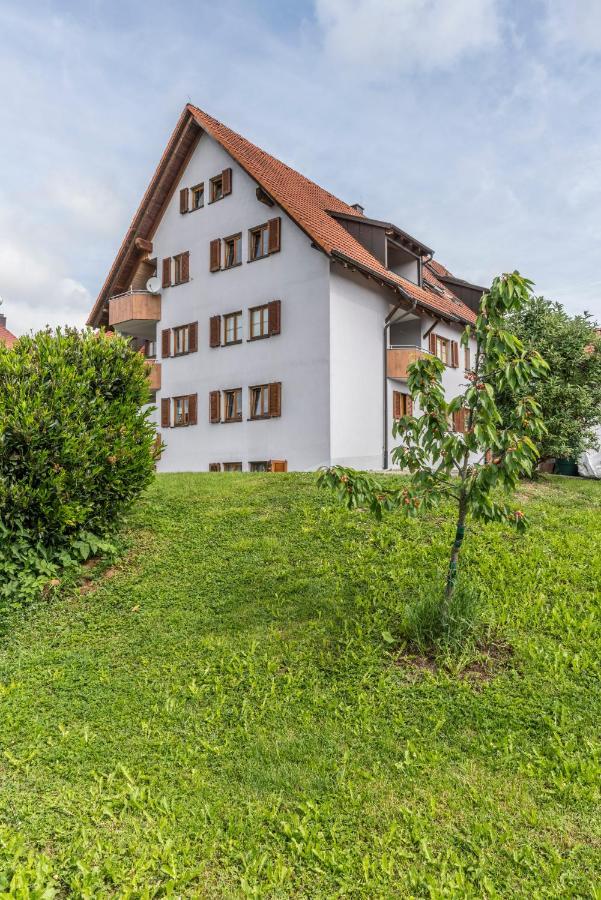 Rh-Appartements 15 Minuten Von Basel Im Dorf Ruehrberg Grenzach-Wyhlen Bagian luar foto